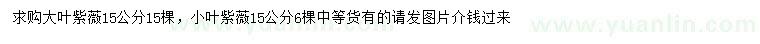 求购15公分大叶紫薇、小叶紫薇