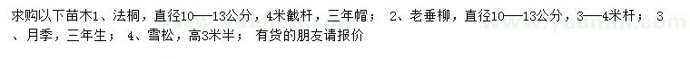 求购法桐、老垂柳、月季等