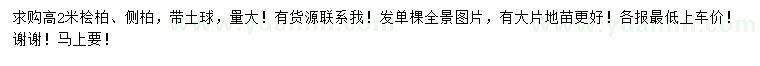 求购高2米桧柏、侧柏