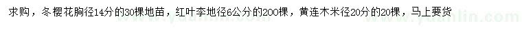 求购冬樱花、红叶李、黄连木