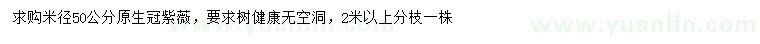 求购米径50公分原生冠紫薇