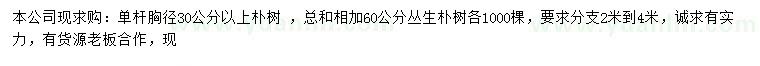 求购胸径30公分以上朴树、丛生朴树