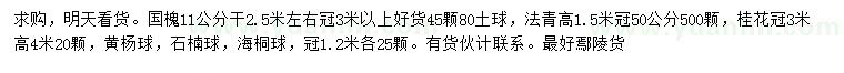 求购国槐、法青、桂花等