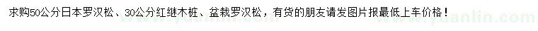 求购日本罗汉松、红继木桩、盆栽罗汉松		