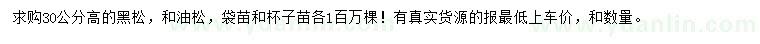 求购高30公分黑松、油松