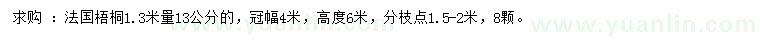 求购1.3米量13公分法国梧桐