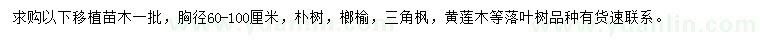 求购朴树、榔榆、三角枫等