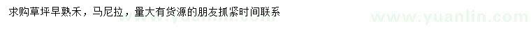 求购早熟禾、马尼拉