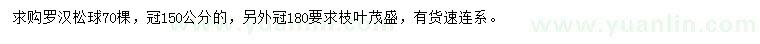 求购冠150、180公分罗汉松球