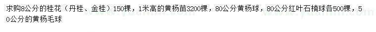 求购桂花、黄杨、黄杨球等