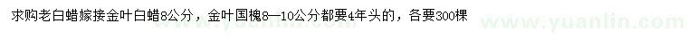 求购8公分老白蜡、8-10公分金叶国槐