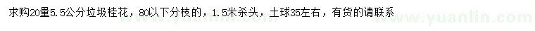 求购20量5.5公分桂花