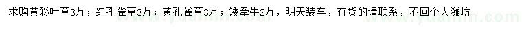 求购黄彩叶草、红孔雀草、黄孔雀草等