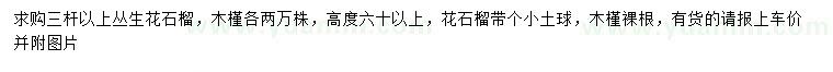 求购高60公分以上丛生花石榴、木槿