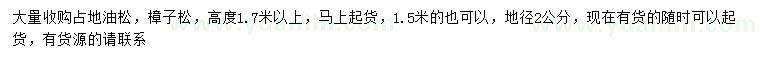 求购地径2公分油松、樟子松