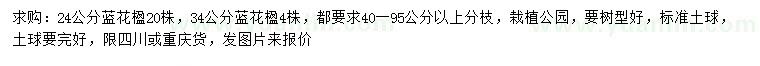 求购24、34公分蓝花楹