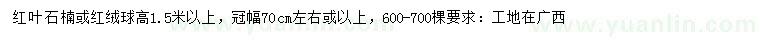 求购高1.5米以上红叶石楠、红绒球