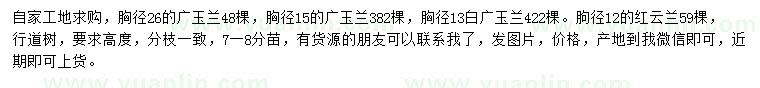 求购胸径13、15、26公分广玉兰、胸径12公分红玉兰