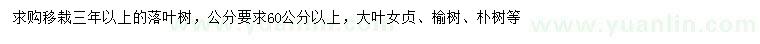 求购大叶女贞、榆树、朴树