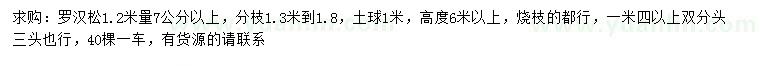 求购1.2米量7公分以上罗汉松