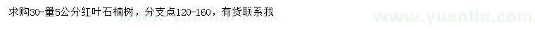 求购30量5公分红叶石楠