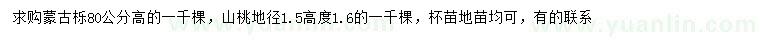 求购高80公分蒙古栎、地径1.5公分山桃树