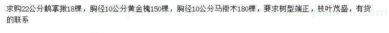 求购鹅掌揪、黄金槐、马褂木