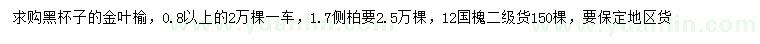 求购金叶榆、侧柏、国槐