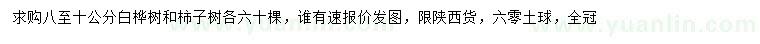 求购8-10公分白桦树、柿子树