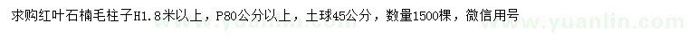 求购高1.8米以上红叶石楠柱