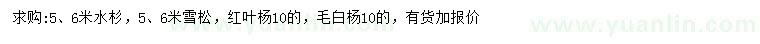 求购水杉、雪松、红叶杨等