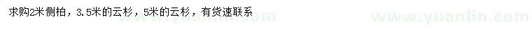 求购2米侧柏、3.5、5米云杉
