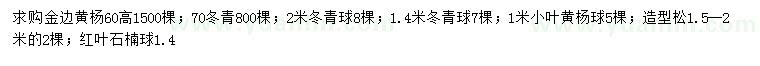 求购金边黄杨、冬青、冬青球等