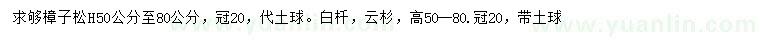 求购高50-80公分樟子松、白扦云杉