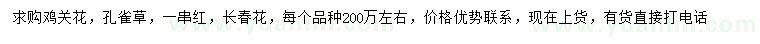 求购鸡冠花、孔雀草、一串红等