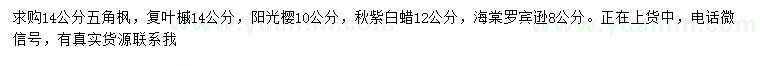 求购五角枫、复叶槭、阳光樱等