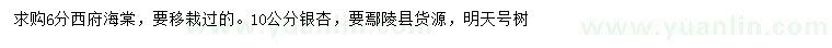 求购6分西府海棠、10公分银杏