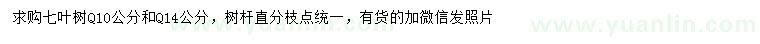 求购10、14公分七叶树