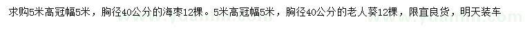 求购胸径40公分海枣、老人葵