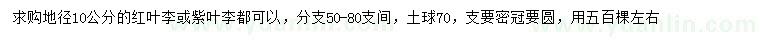 求购地径10公分红叶李、紫叶李