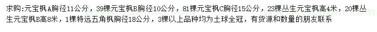 求购元宝枫、丛生元宝枫、五角枫