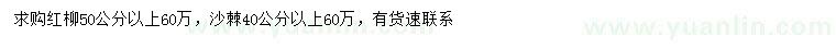 求购50公分以上红柳、40公分以上沙棘