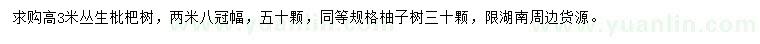 求购高3米丛生枇杷树、柚子树