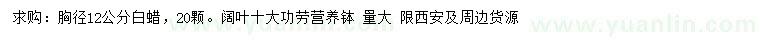 求购胸径12公分白蜡、阔叶十大功劳