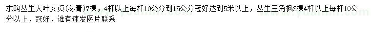 求购4杆以上丛生大叶女贞、丛生三角枫