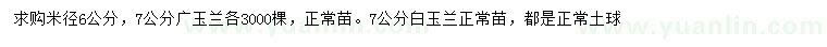 求购米径6、7公分广玉兰、7公分白玉兰