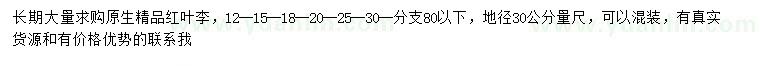 求购30量12-15-18-20-25-30公分红叶李