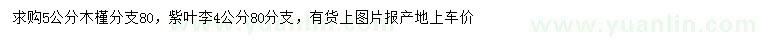 求购5公分木槿、4公分紫叶李