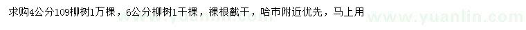 求购4公分109柳树、6公分柳树