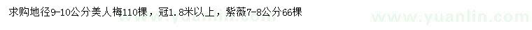 求购地径9-10公分美人梅、7-8公分紫薇